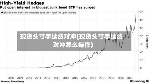 现货头寸手续费对冲(现货头寸手续费对冲怎么操作)