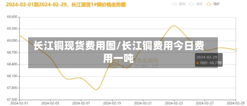 长江铜现货费用图/长江铜费用今日费用一吨-第2张图片