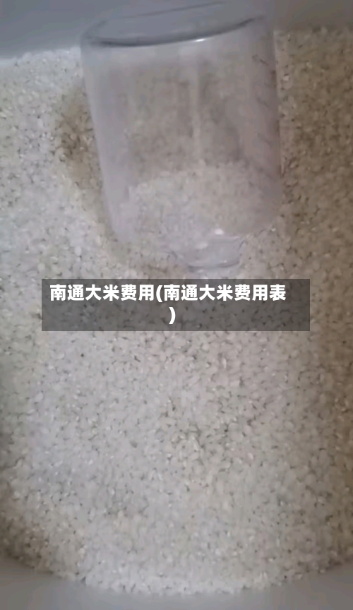 南通大米费用(南通大米费用表)