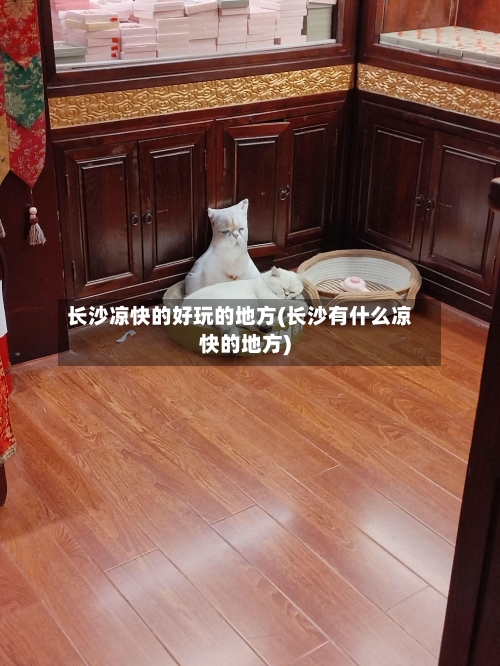 长沙凉快的好玩的地方(长沙有什么凉快的地方)-第2张图片