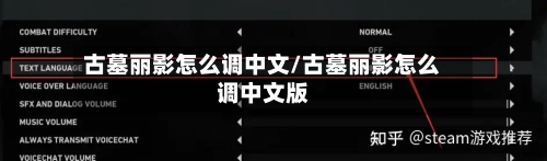 古墓丽影怎么调中文/古墓丽影怎么调中文版