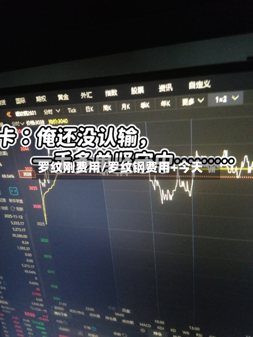 罗纹刚费用/罗纹钢费用+今天