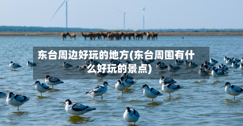东台周边好玩的地方(东台周围有什么好玩的景点)