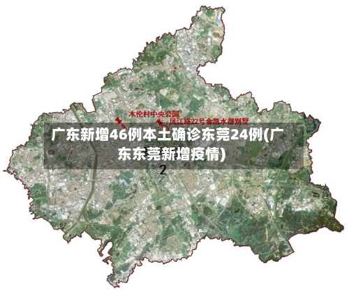 广东新增46例本土确诊东莞24例(广东东莞新增疫情)-第2张图片