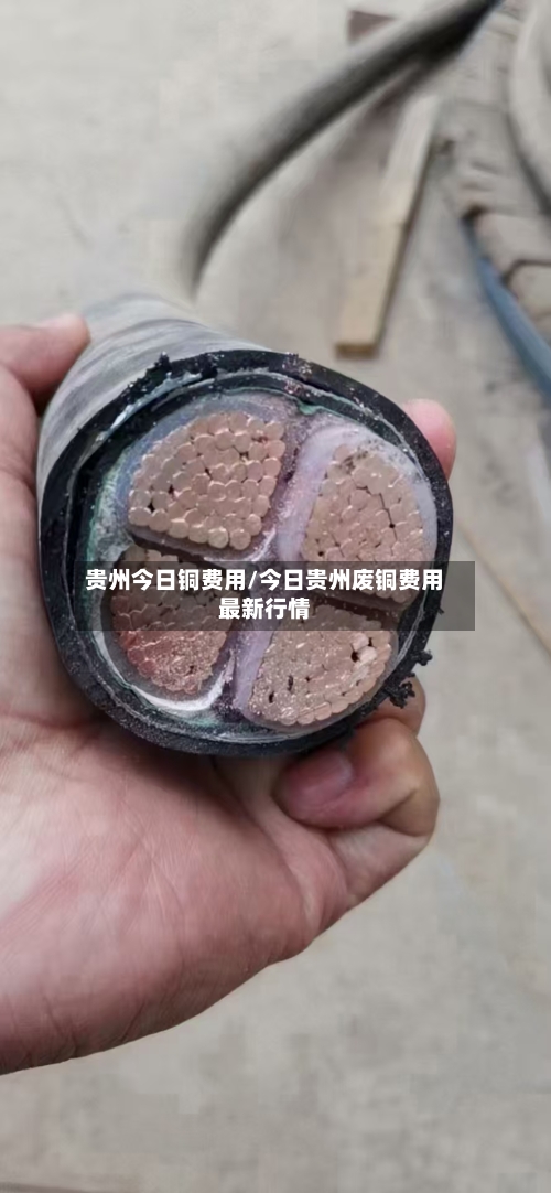 贵州今日铜费用/今日贵州废铜费用最新行情