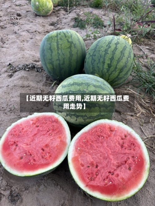 【近期无籽西瓜费用,近期无籽西瓜费用走势】