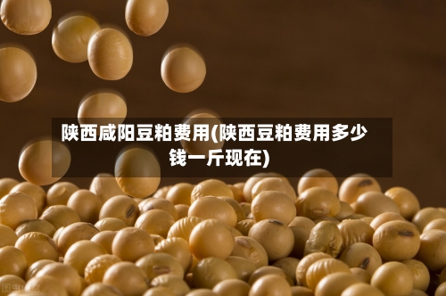 陕西咸阳豆粕费用(陕西豆粕费用多少钱一斤现在)