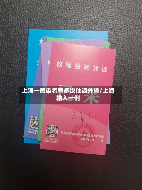 上海一感染者曾多次往返外省/上海输入一例