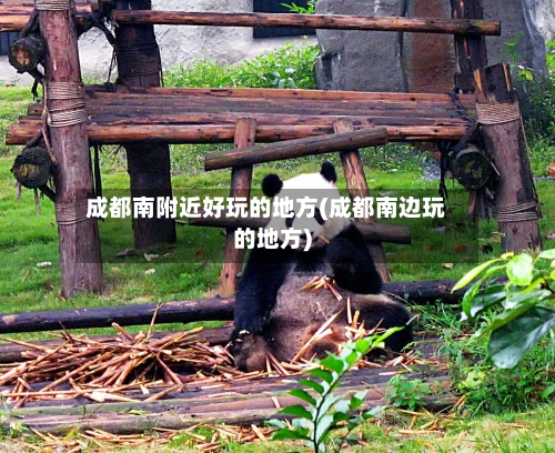 成都南附近好玩的地方(成都南边玩的地方)