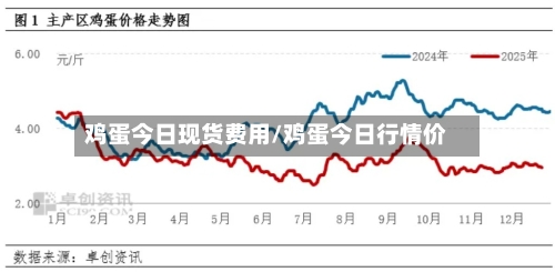 鸡蛋今日现货费用/鸡蛋今日行情价