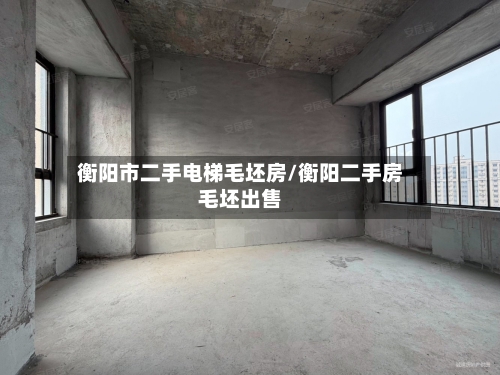 衡阳市二手电梯毛坯房/衡阳二手房毛坯出售-第2张图片