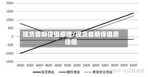 现货套期保值原理/现货套期保值原理图-第2张图片