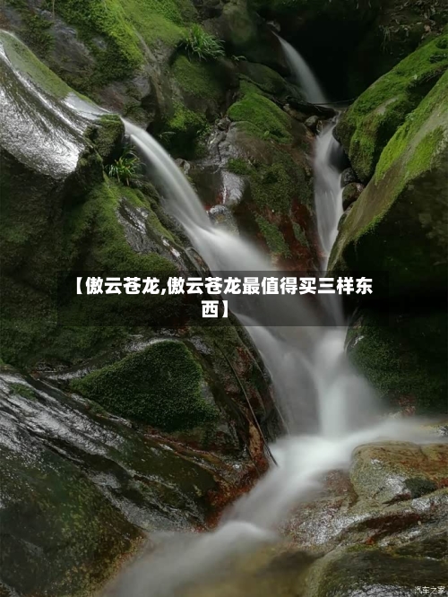 【傲云苍龙,傲云苍龙最值得买三样东西】-第2张图片