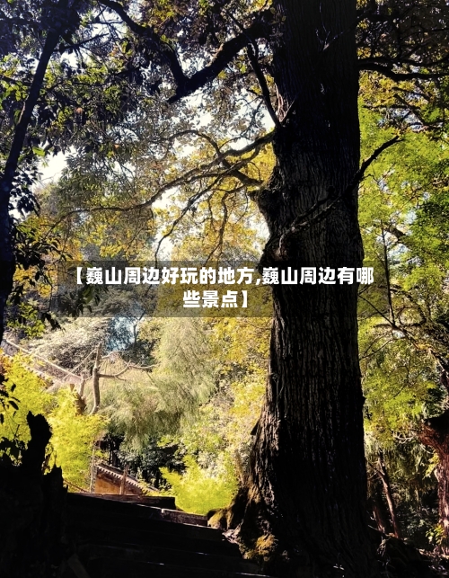 【巍山周边好玩的地方,巍山周边有哪些景点】-第2张图片