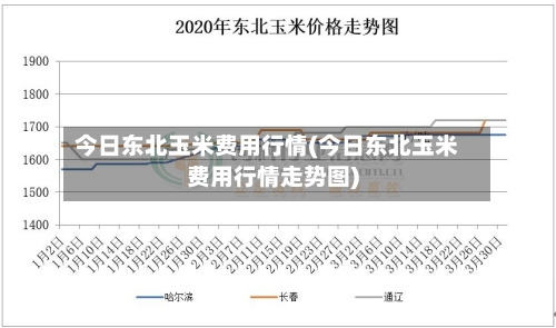 今日东北玉米费用行情(今日东北玉米费用行情走势图)
