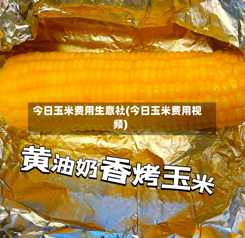 今日玉米费用生意社(今日玉米费用视频)
