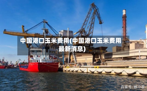 中国港口玉米费用(中国港口玉米费用最新消息)