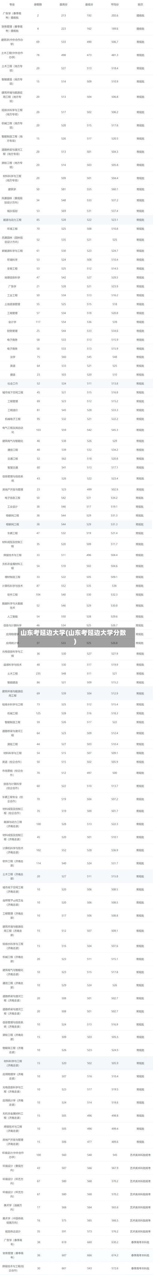 山东考延边大学(山东考延边大学分数)-第2张图片