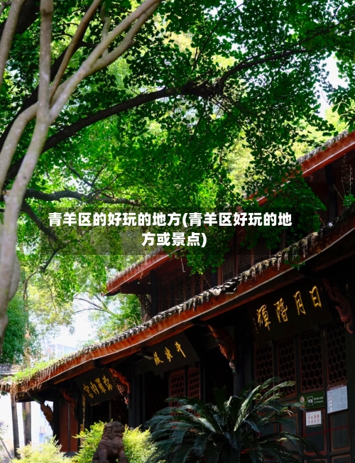 青羊区的好玩的地方(青羊区好玩的地方或景点)-第2张图片