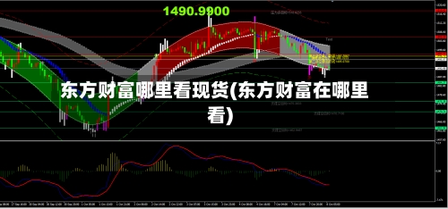 东方财富哪里看现货(东方财富在哪里看)