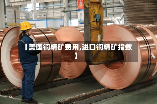 【美国铜精矿费用,进口铜精矿指数】-第2张图片