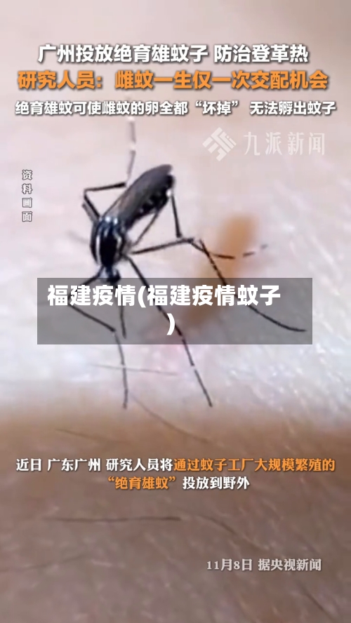 福建疫情(福建疫情蚊子)-第2张图片