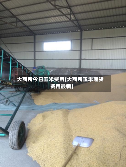 大商所今日玉米费用(大商所玉米期货费用最新)