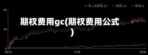 期权费用gc(期权费用公式)