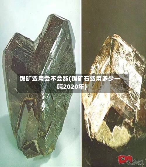 锡矿费用会不会涨(锡矿石费用多少一吨2020年)-第2张图片