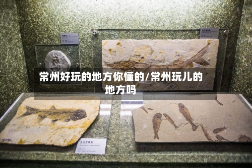 常州好玩的地方你懂的/常州玩儿的地方吗