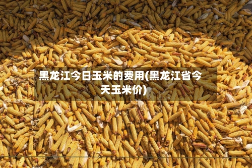 黑龙江今日玉米的费用(黑龙江省今天玉米价)-第2张图片