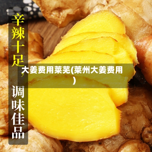 大姜费用莱芜(莱州大姜费用)