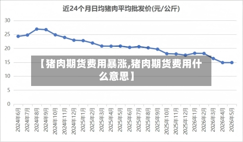 【猪肉期货费用暴涨,猪肉期货费用什么意思】