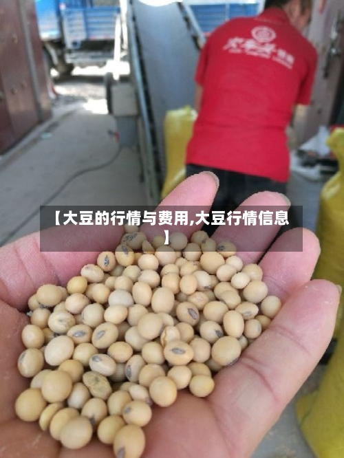 【大豆的行情与费用,大豆行情信息】-第3张图片