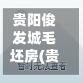 贵阳俊发城毛坯房(贵阳俊发城售楼部电话)
