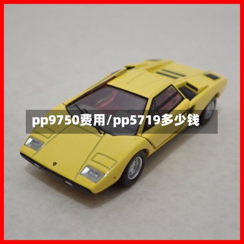 pp9750费用/pp5719多少钱-第2张图片