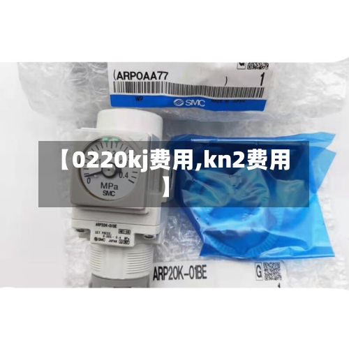 【0220kj费用,kn2费用】