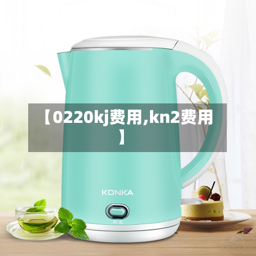 【0220kj费用,kn2费用】-第3张图片