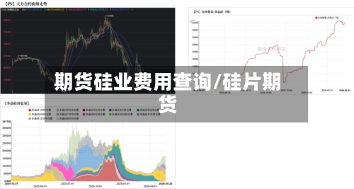 期货硅业费用查询/硅片期货