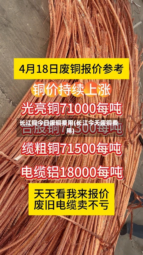 长江铜今日废铜费用(长江今天废铜费用)