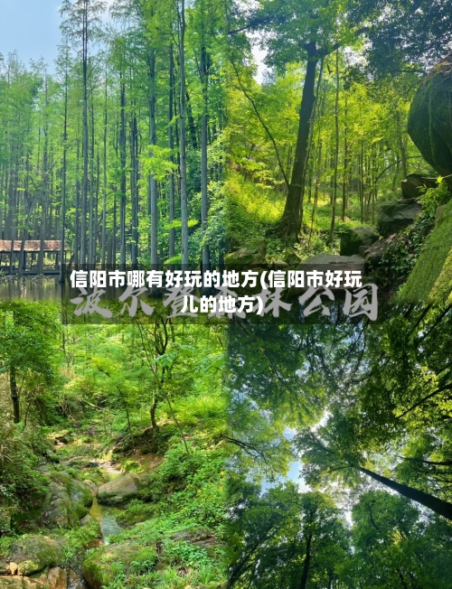 信阳市哪有好玩的地方(信阳市好玩儿的地方)