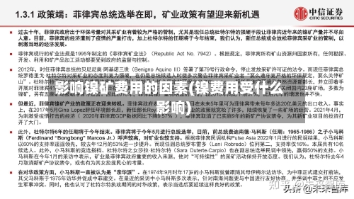 影响镍矿费用的因素(镍费用受什么影响)