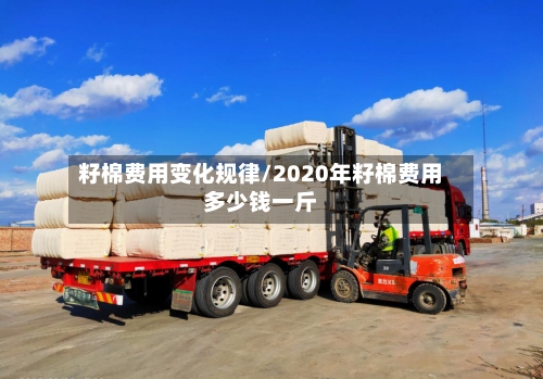 籽棉费用变化规律/2020年籽棉费用多少钱一斤-第2张图片