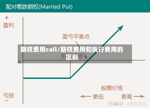 期权费用call/期权费用和执行费用的区别-第2张图片