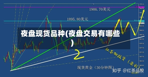 夜盘现货品种(夜盘交易有哪些)-第2张图片