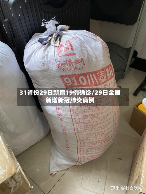 31省份29日新增19例确诊/29日全国新增新冠肺炎病例