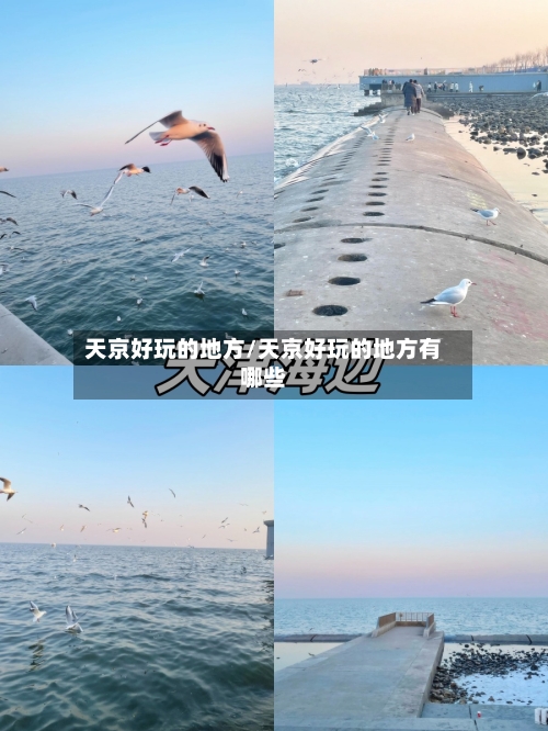 天京好玩的地方/天京好玩的地方有哪些