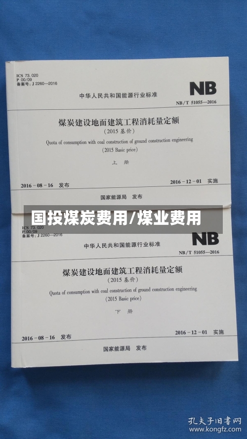 国投煤炭费用/煤业费用