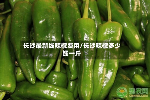 长沙最新线辣椒费用/长沙辣椒多少钱一斤