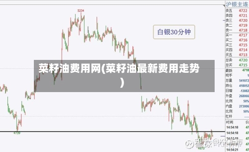 菜籽油费用网(菜籽油最新费用走势)-第3张图片